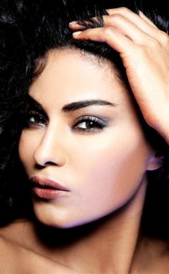  Veena Malik's Bollywood Bonanza: A Daring Debut, a Sea of Controversy, and One Helluva Comeback!